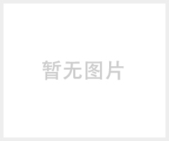 諾盾車(chē)載保險(xiǎn)箱、汽車(chē)電子密碼箱 備胎通用型